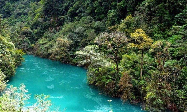 虫虫助手下载