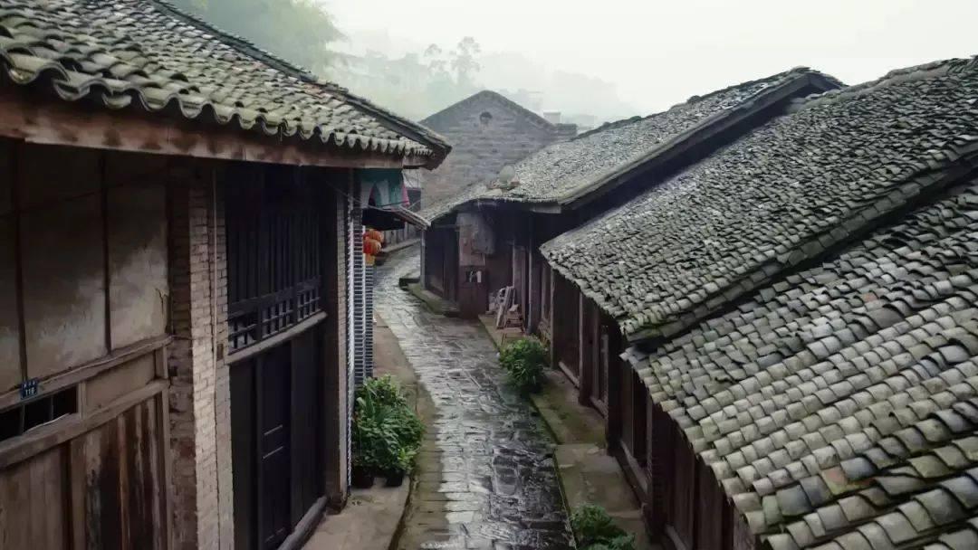 燃烧吧大脑免广告最新版